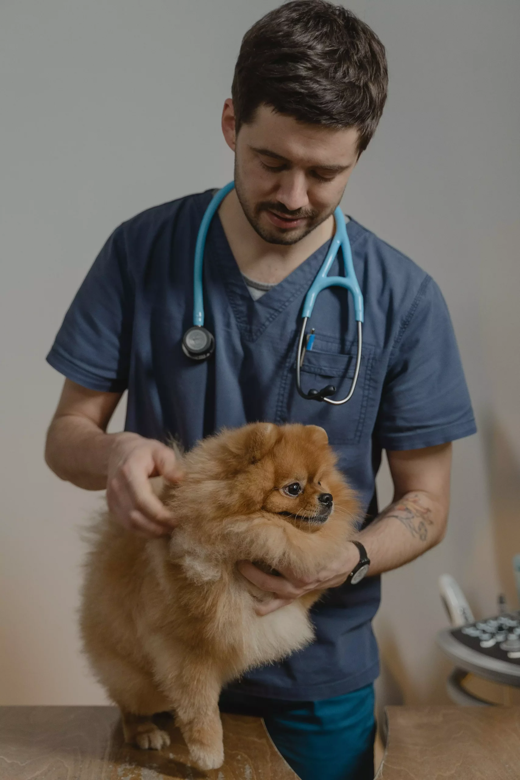 Achieving a Well-Sustained Vet Culture - My Vet System Blog